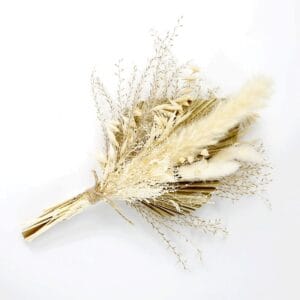 Dried Palm decor