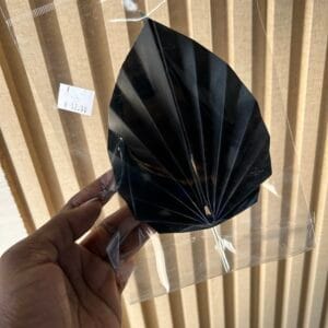 Palm Fans