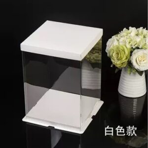 Clear Square box